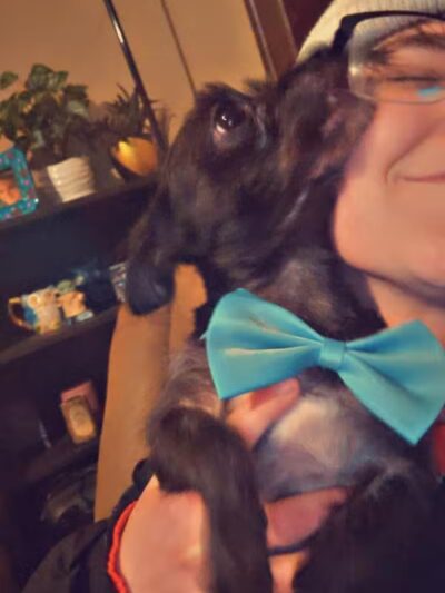 Norwalk Doggy Resort - Norwalk, OH