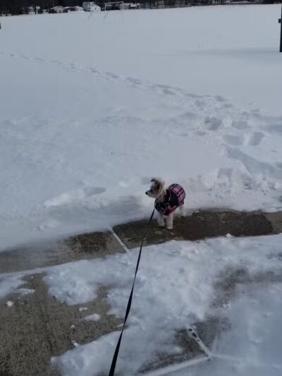 Sofios Park - Norwalk, OH