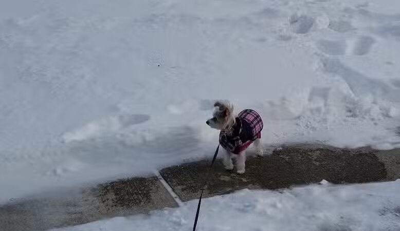 Sofios Park - Norwalk, OH