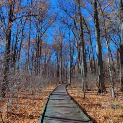 Sofios Park - Norwalk, OH