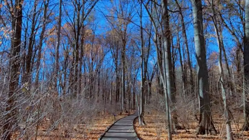 Sofios Park - Norwalk, OH