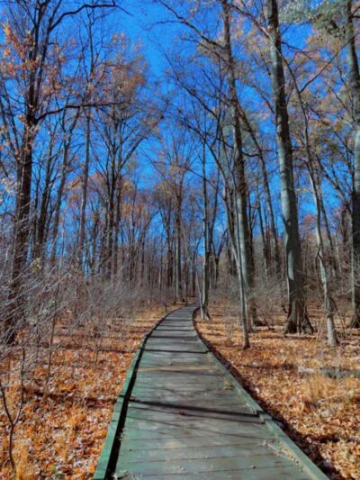 Sofios Park - Norwalk, OH