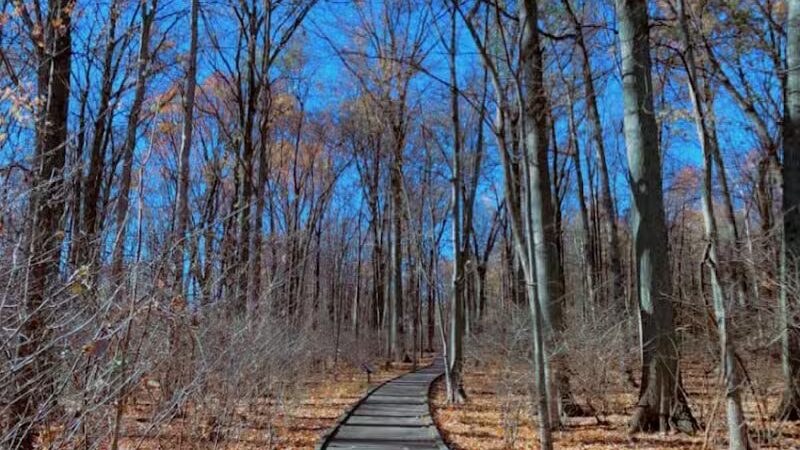 Sofios Park - Norwalk, OH