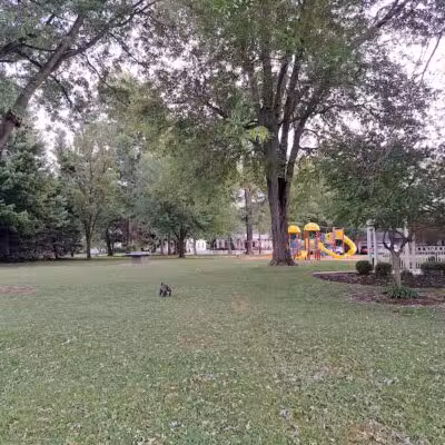 Stoutenburg Park - Norwalk, OH