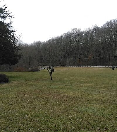 Estelle Cohn Memorial Dog Park - Norwich, CT