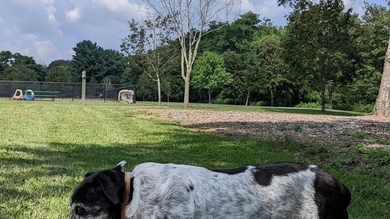 Estelle Cohn Memorial Dog Park - Norwich, CT