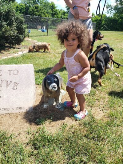 Estelle Cohn Memorial Dog Park - Norwich, CT