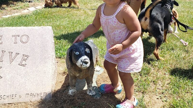 Estelle Cohn Memorial Dog Park - Norwich, CT