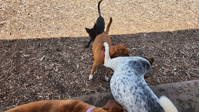 Estelle Cohn Memorial Dog Park - Norwich, CT
