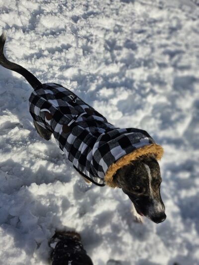 Hunter Park - Norwood, OH