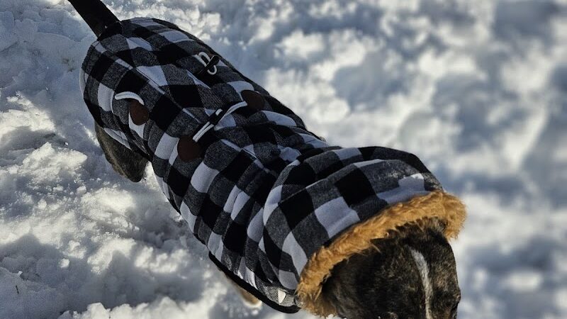 Hunter Park - Norwood, OH