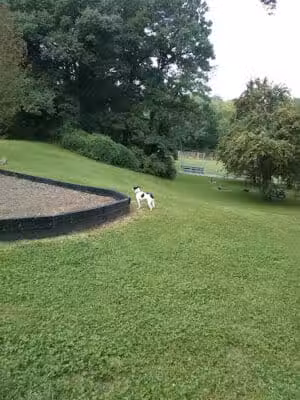 Lower Millcrest Park - Norwood, OH