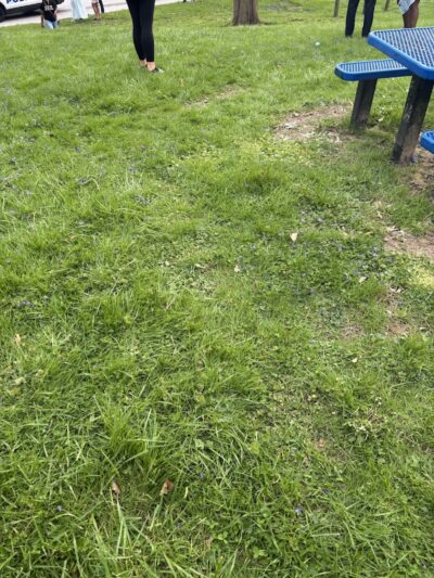 Lower Millcrest Park - Norwood, OH