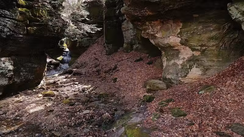 The West Woods - Novelty, OH