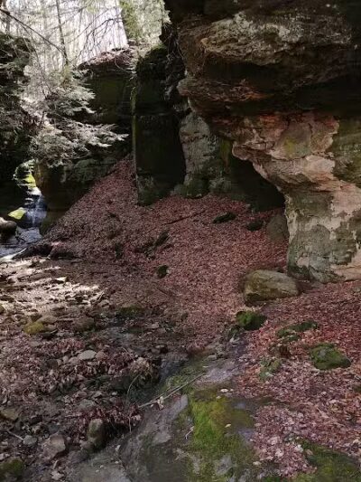 The West Woods - Novelty, OH