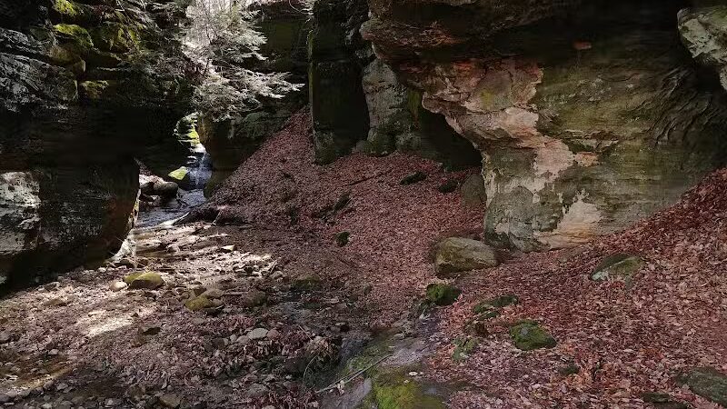 The West Woods - Novelty, OH