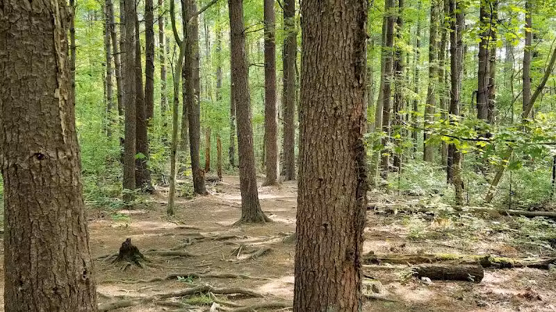 The West Woods - Novelty, OH
