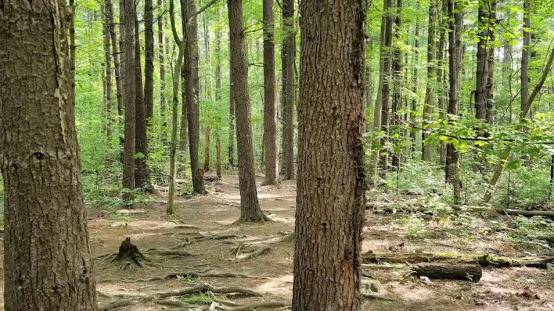 The West Woods - Novelty, OH