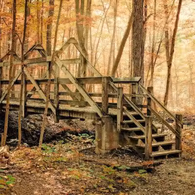 The West Woods - Novelty, OH