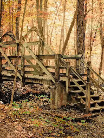 The West Woods - Novelty, OH