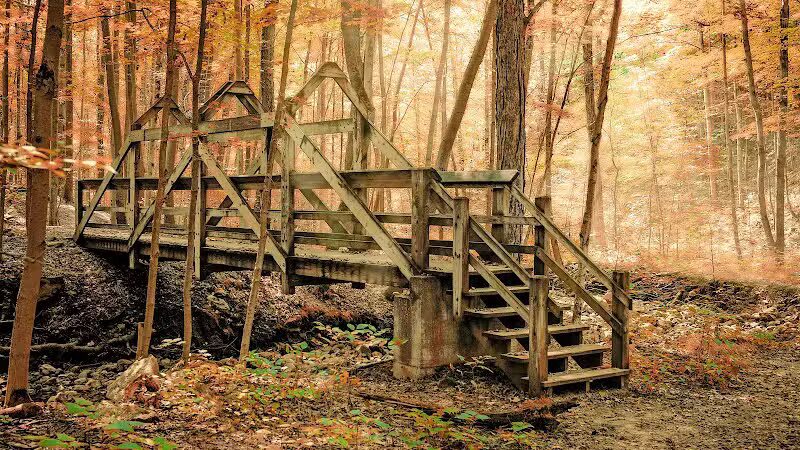 The West Woods - Novelty, OH