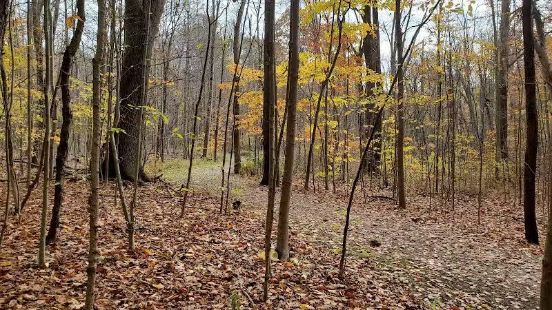 The West Woods - Novelty, OH