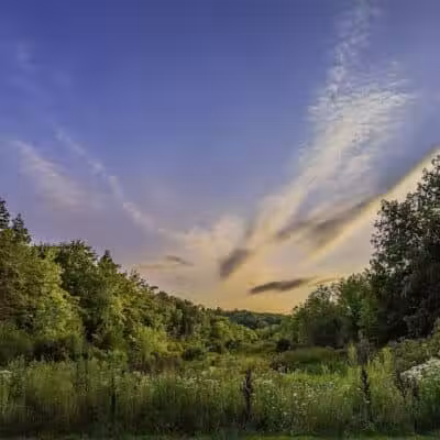 The West Woods - Novelty, OH