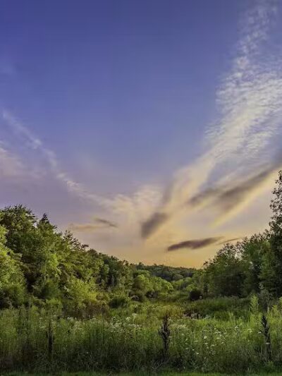 The West Woods - Novelty, OH