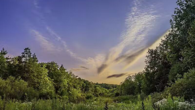 The West Woods - Novelty, OH