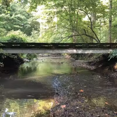 The West Woods - Novelty, OH