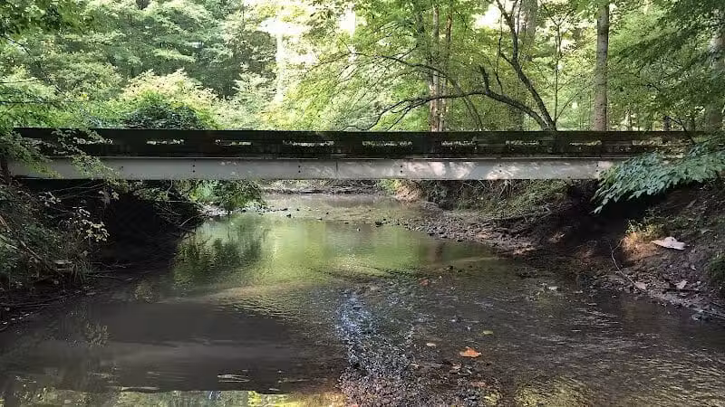 The West Woods - Novelty, OH