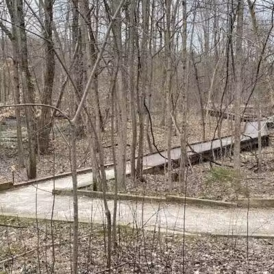 The West Woods - Novelty, OH