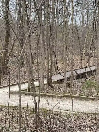 The West Woods - Novelty, OH