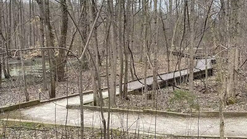 The West Woods - Novelty, OH