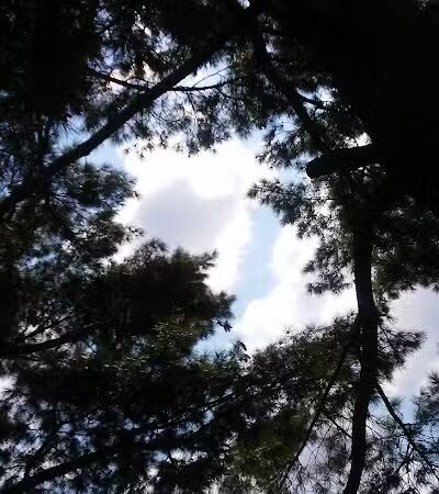 Veterans Memorial Park - Oak Harbor, OH