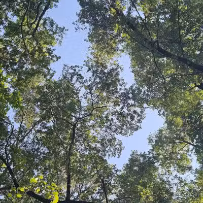 Veterans Memorial Park - Oak Harbor, OH