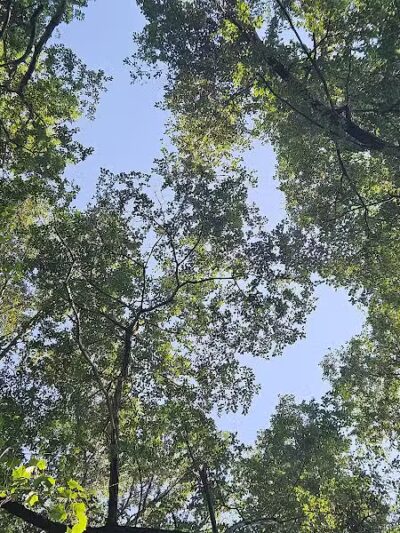 Veterans Memorial Park - Oak Harbor, OH