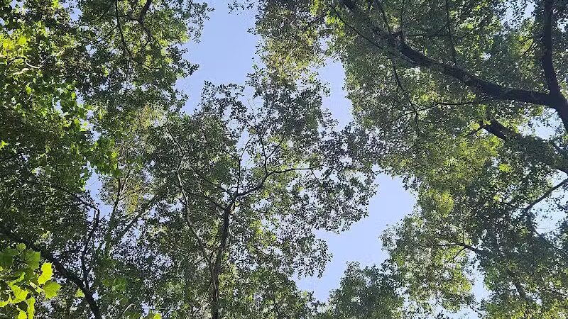 Veterans Memorial Park - Oak Harbor, OH