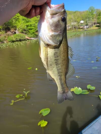 Jackson Lake State Park - Oak Hill, OH