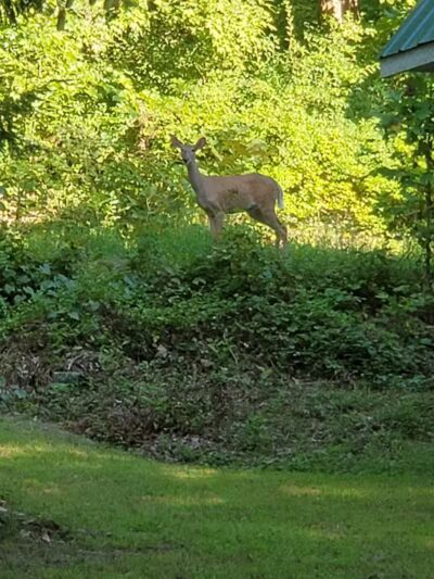 Jackson Lake State Park - Oak Hill, OH