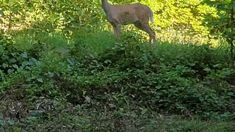 Jackson Lake State Park - Oak Hill, OH