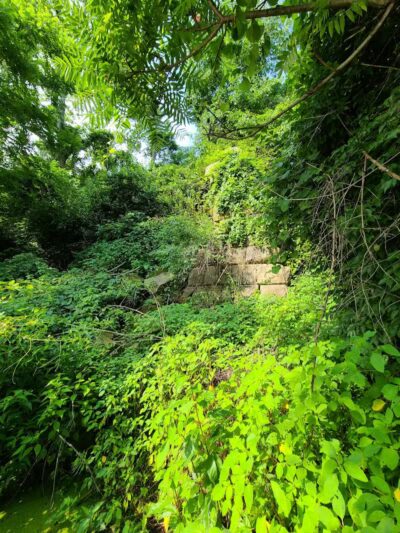 Jackson Lake State Park - Oak Hill, OH