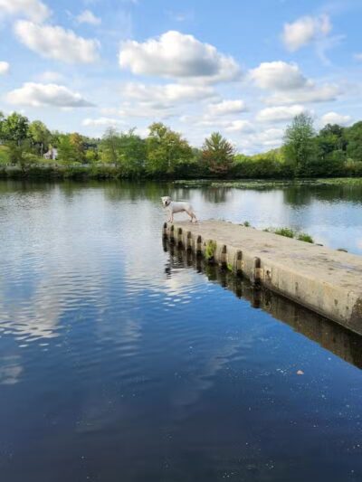 Jackson Lake State Park - Oak Hill, OH