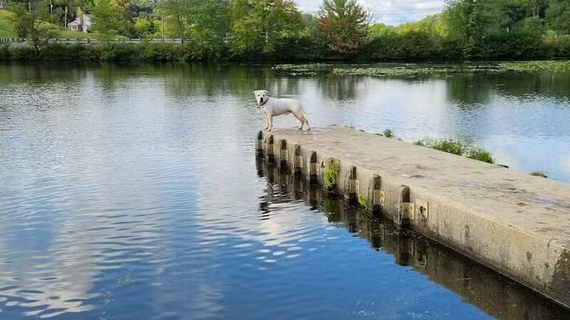 Jackson Lake State Park - Oak Hill, OH
