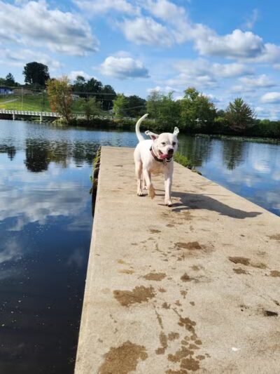 Jackson Lake State Park - Oak Hill, OH