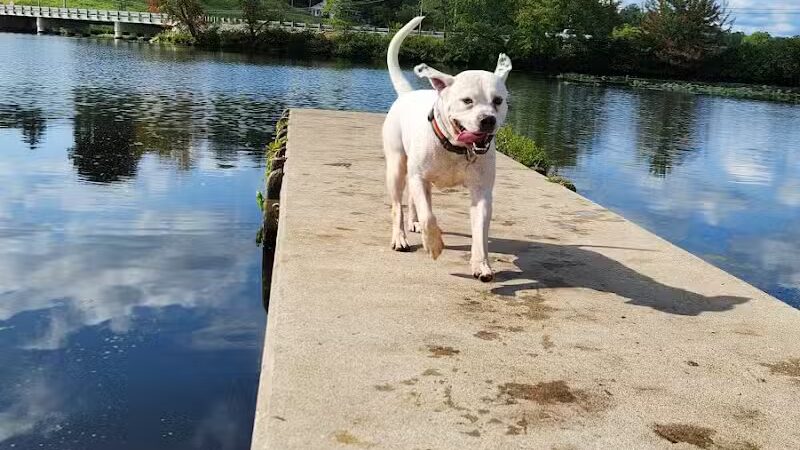 Jackson Lake State Park - Oak Hill, OH