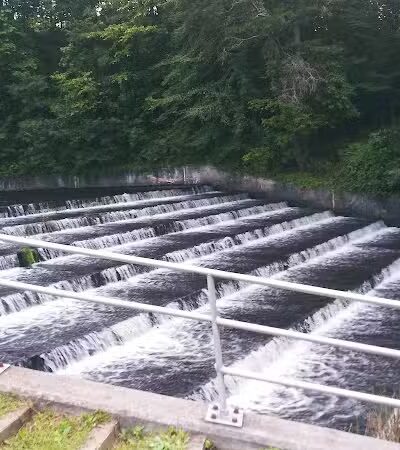 Jackson Lake State Park - Oak Hill, OH
