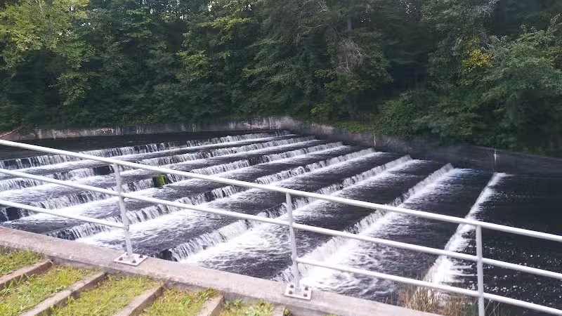Jackson Lake State Park - Oak Hill, OH