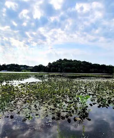 Jackson Lake State Park - Oak Hill, OH