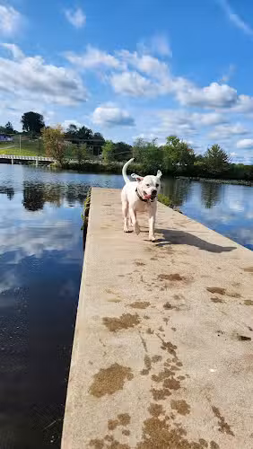Jackson Lake State Park - Oak Hill, OH
